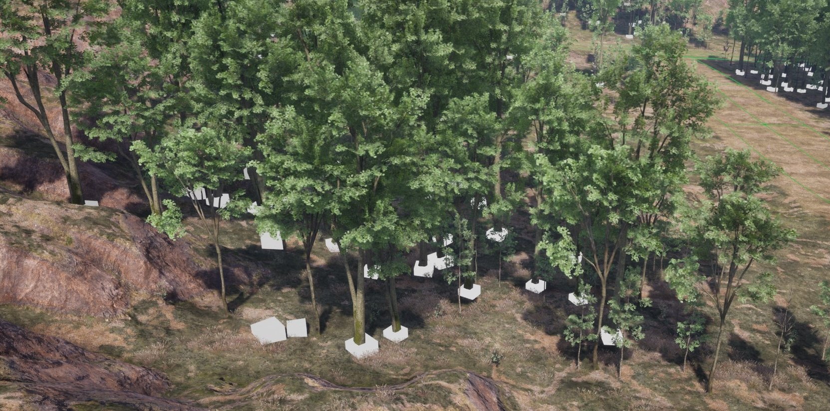 Pcg Desert Example PCG Layered Biomes Documentation